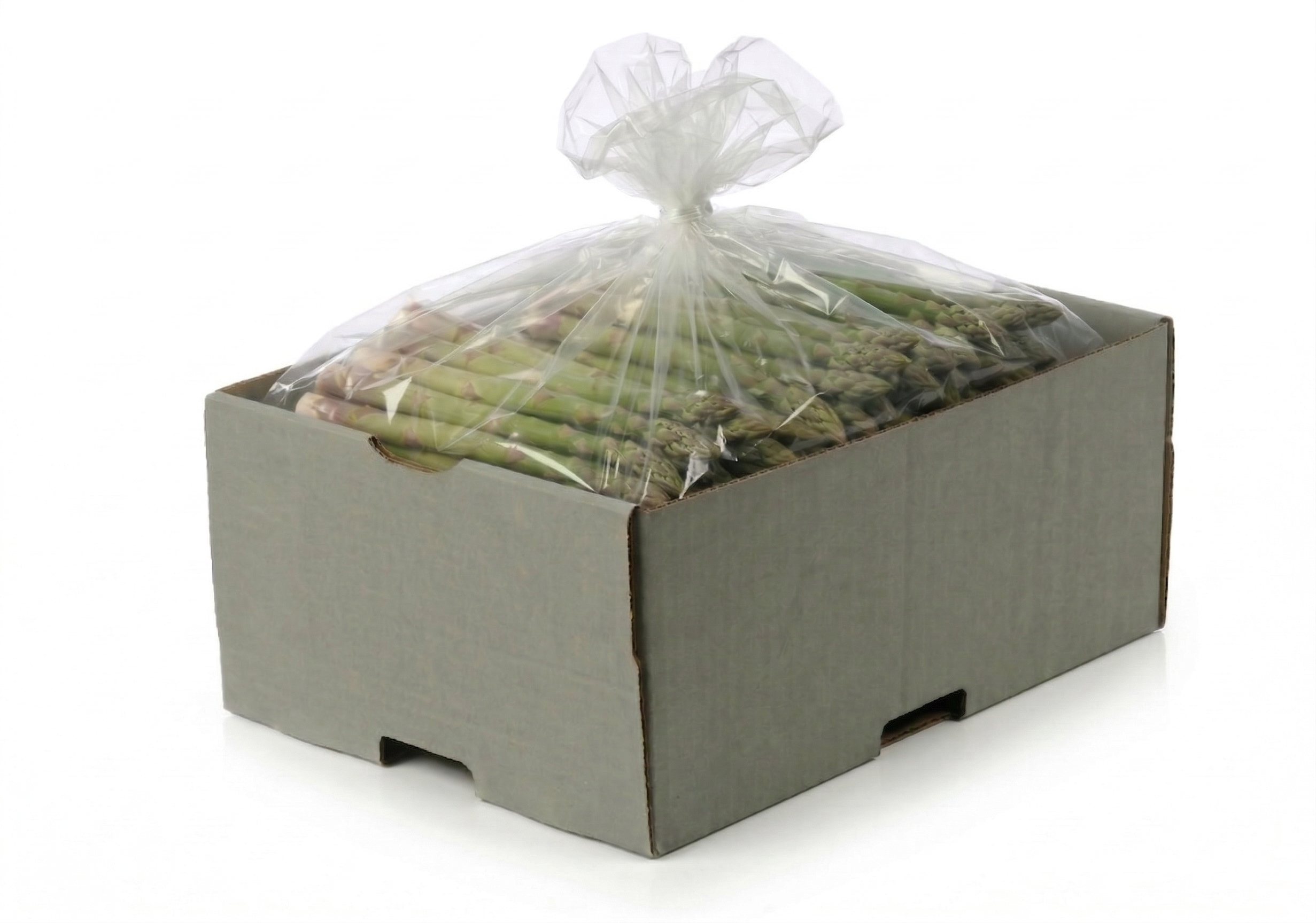 Lifespan-Beutel L, für 5 kg