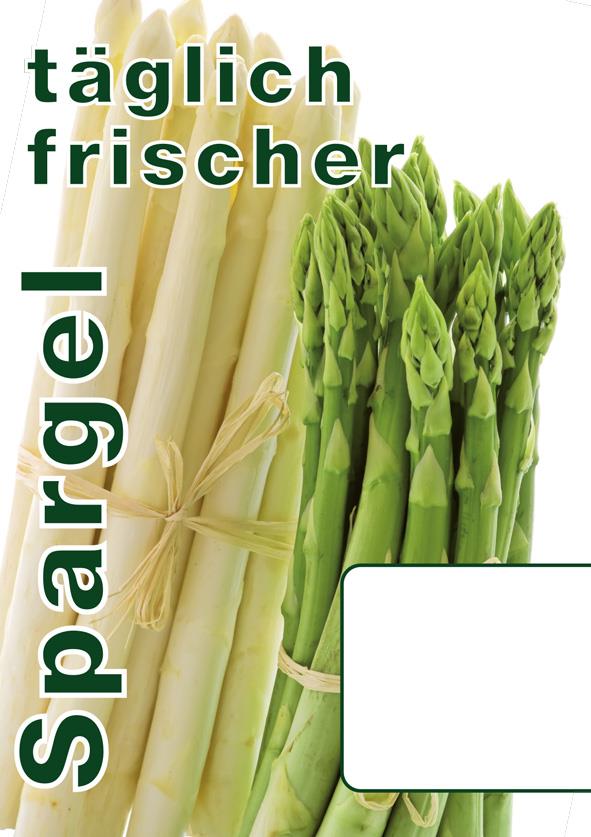 Plakat DIN A1"täglich frischer Spargel" laminiert
