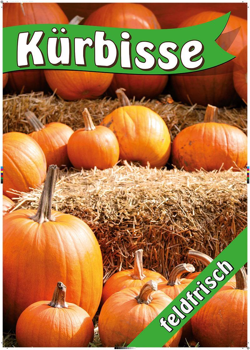 Plakat DIN A1"Kürbisse" laminiert
