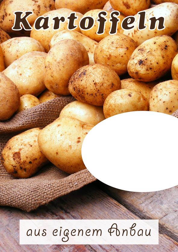 Plakat DIN A1"Kartoffeln" laminiert