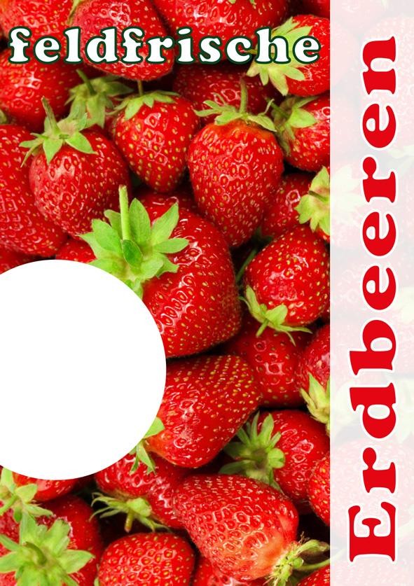 Plakat DIN A1"feldfrische Erdbeeren"