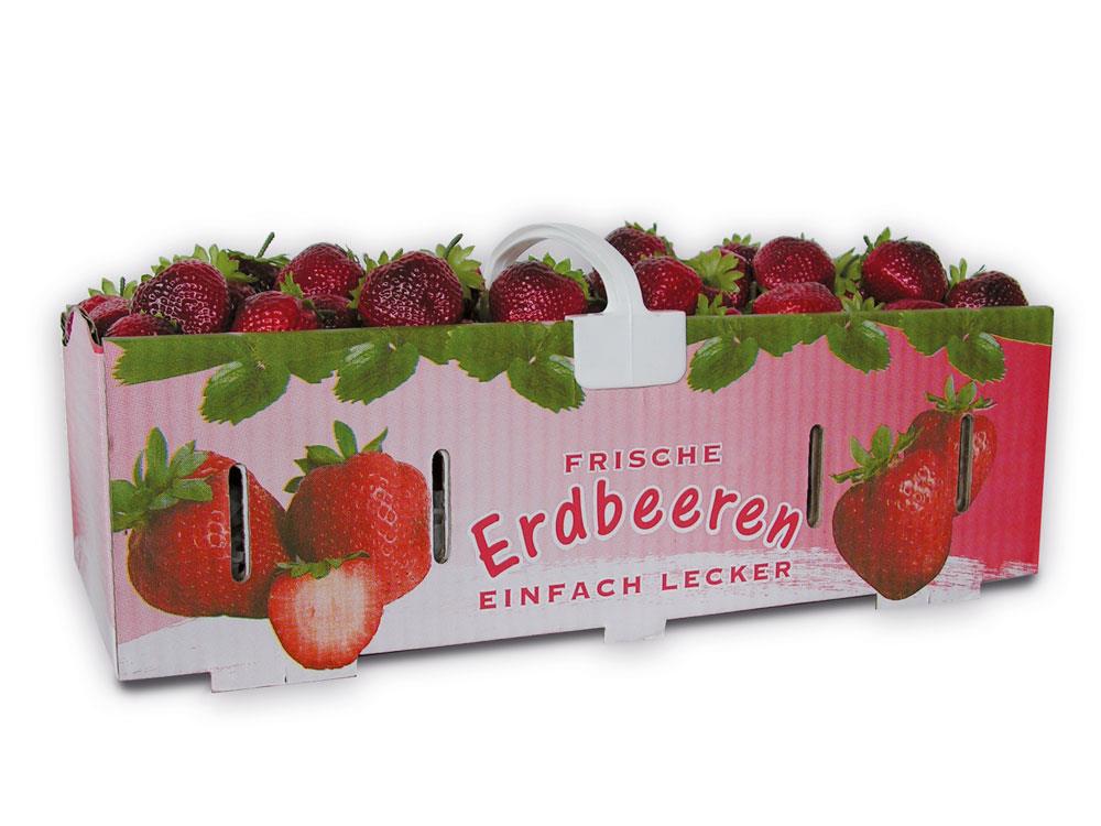 Wellpappkorb 2,5 kg " frische Erdbeeren "gewachst