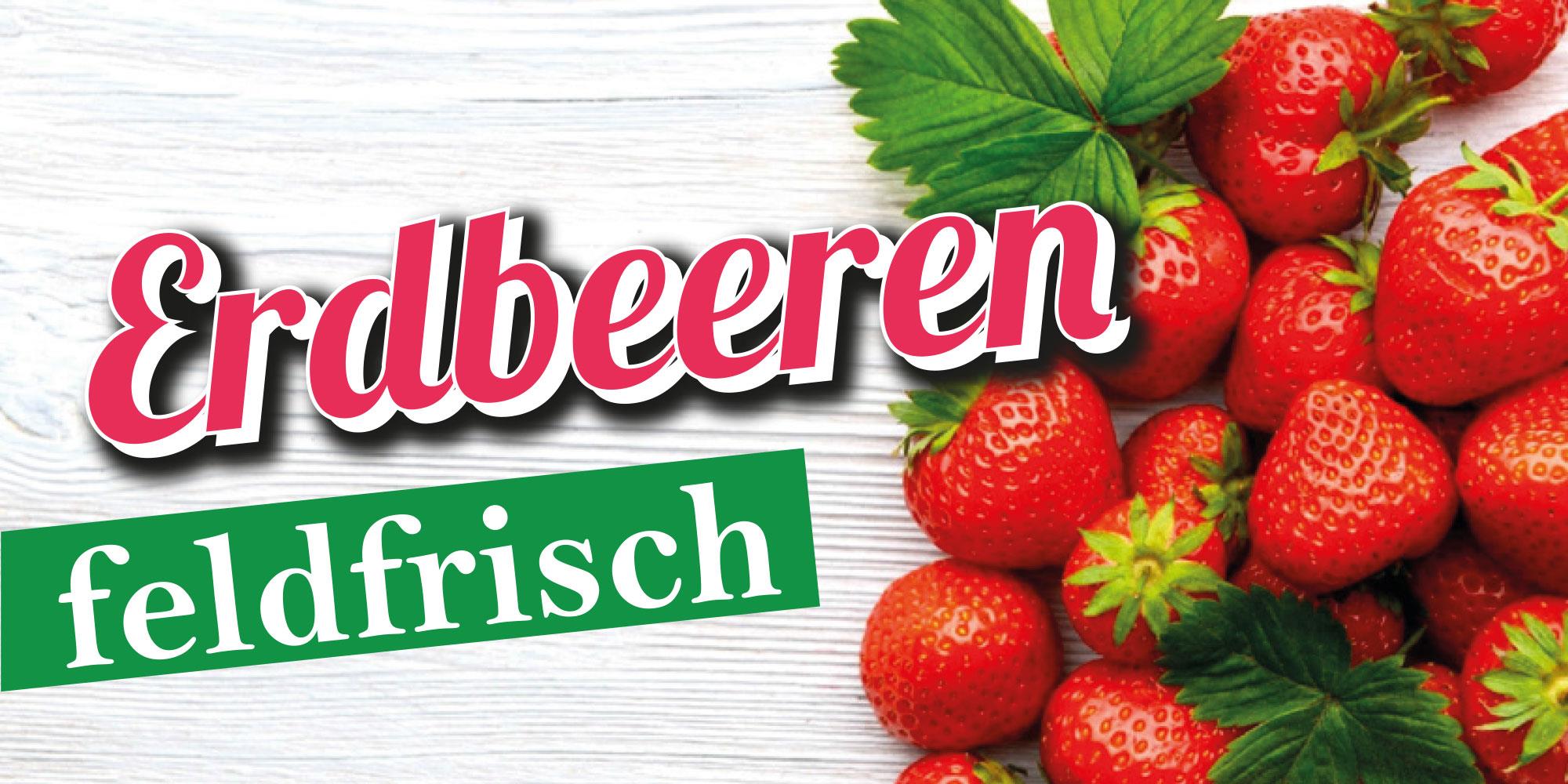 Rollbanner Erdbeeren feldfrisch (200 x 100 cm)