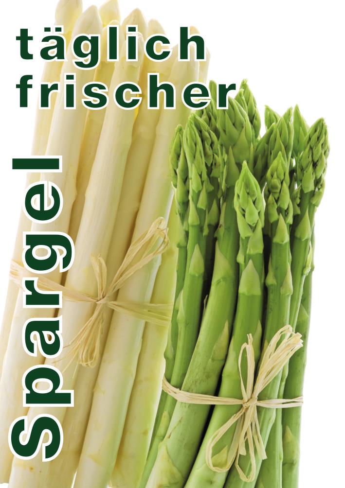 Plakat DIN A1 "täglich frischer Spargel"