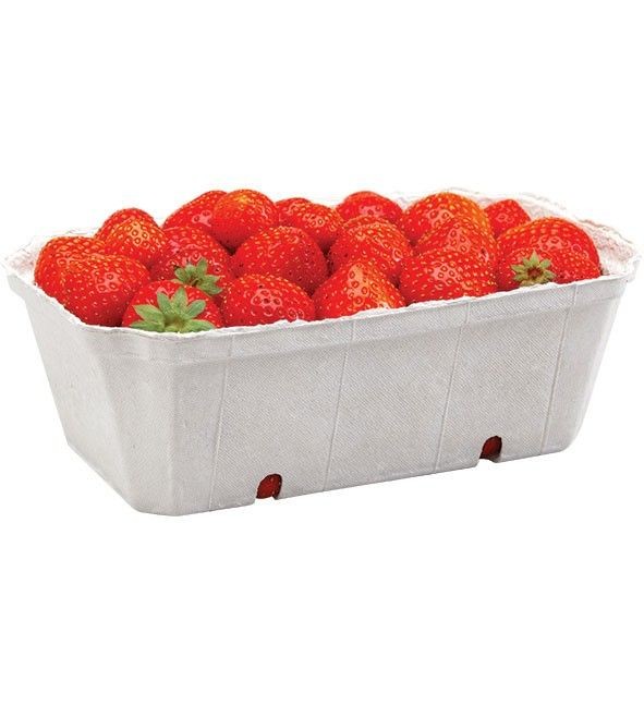 Beerenobstschale Premium Holzschliff 500 g neutral