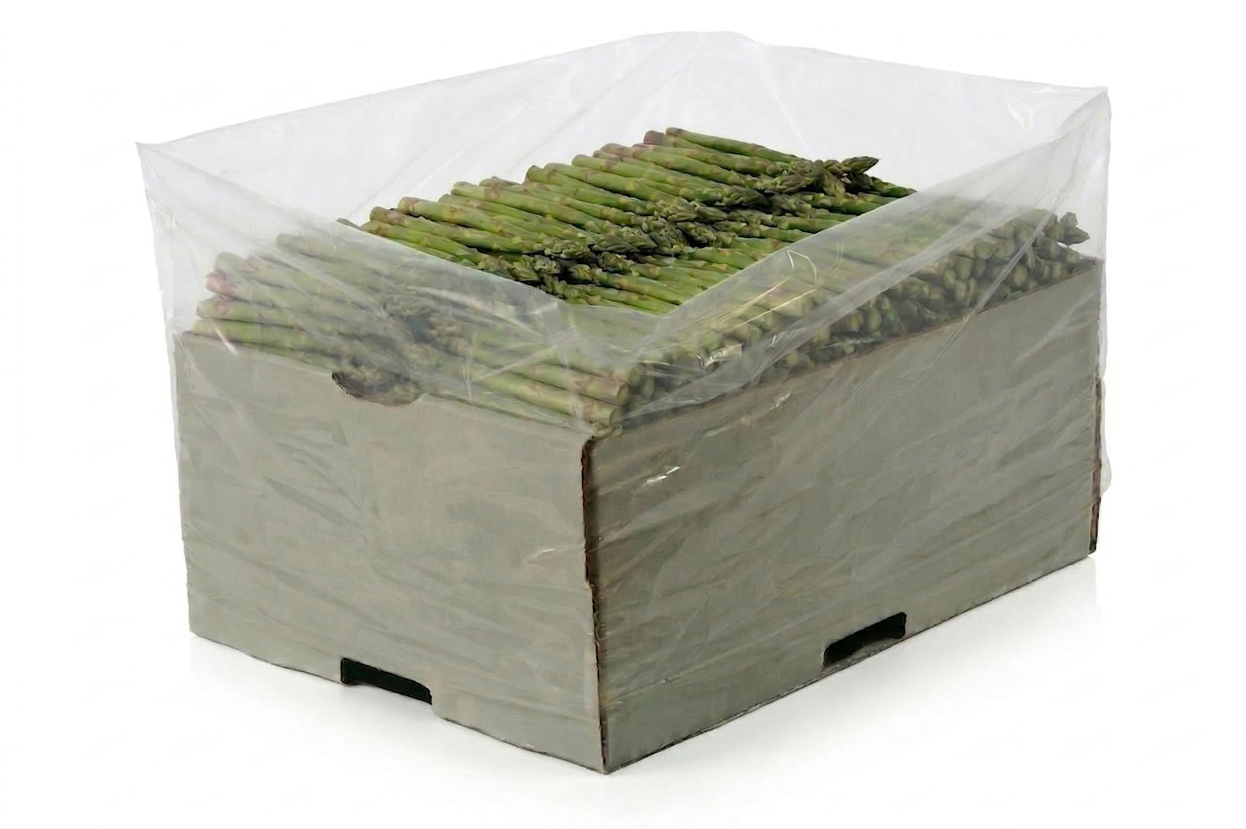 Lifespan-Beutel verschiedene Größen