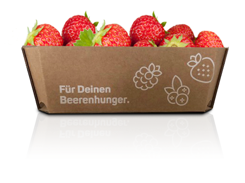 Beeren-Obstschale 500g Wellpappe "Beerenhunger"