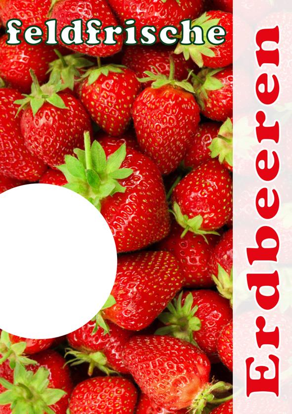 Plakat DIN A1"feldfrische Erdbeeren"laminiert