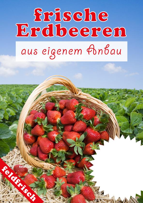 Plakat DIN A1"frische Erdbeeren"laminiert