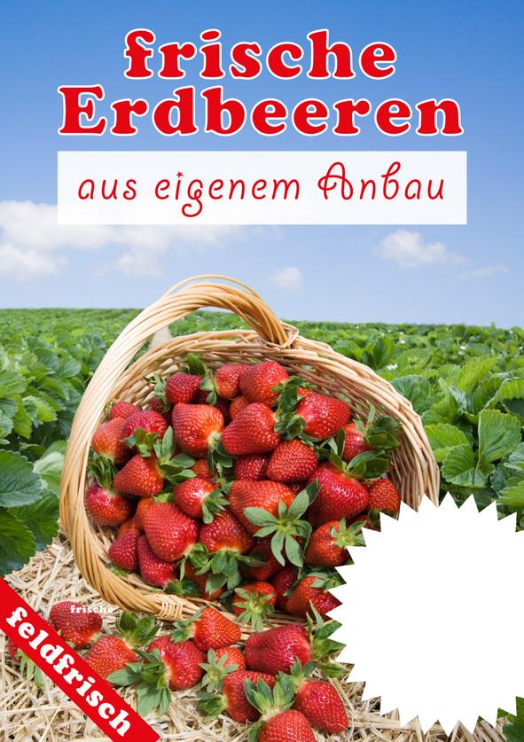 Plakat DIN A1"frische Erdbeeren"